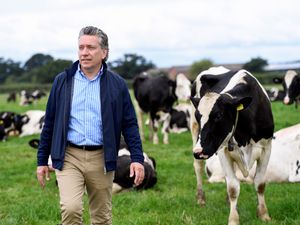 Supporting image for story: Partnership  looks to put sustainability at the heart of the dairy industry