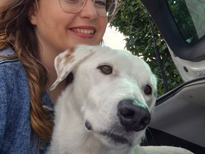 Supporting image for story: ‘We created sign language to communicate with our deaf dog which we brought to the West Midlands from Spain’