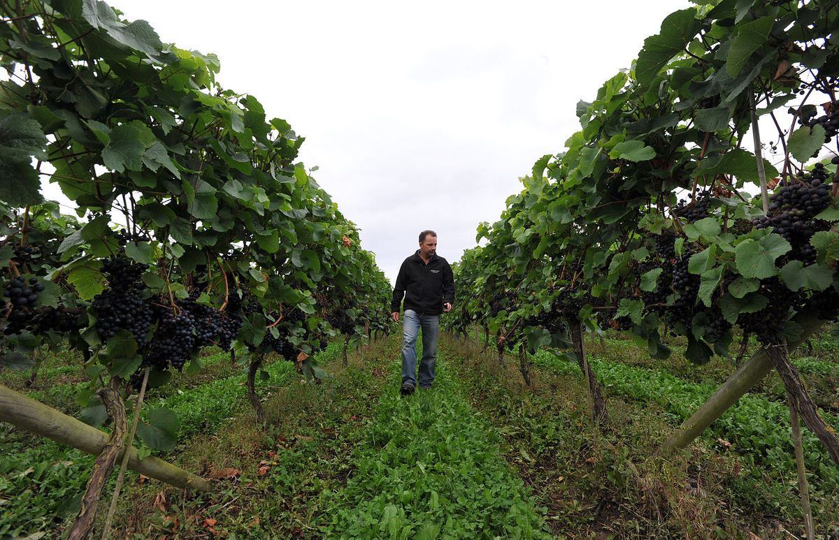 The current law means that children in England are not protected in law from physical assault - this needs to change - Your Letters: August 23