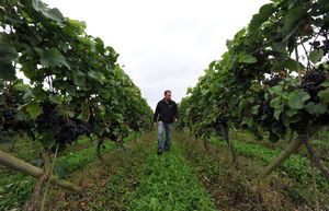 Supporting image for story: 'The current law means that children in England are not protected in law from physical assault - this needs to change' - Your Letters: August 23