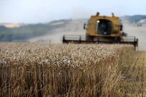 Supporting image for story: Importance of timing when buying machinery