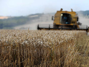 Supporting image for story: Importance of timing when buying machinery