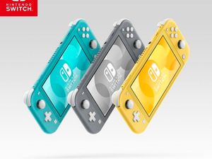 Supporting image for story: Nintendo announces new Switch Lite console