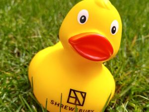 Supporting image for story: Quacking family fun as duck hunt comes to town