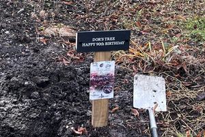 Supporting image for story: Shrewsbury care home resident plants acer tree to create ‘lasting’ memory in celebration of 90th birthday