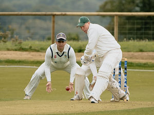 Supporting image for story: Wellington dig deep to end a testing summer on a high