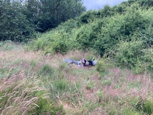 Rough wood nature reserve. Photos taken by Rachel Alexander 