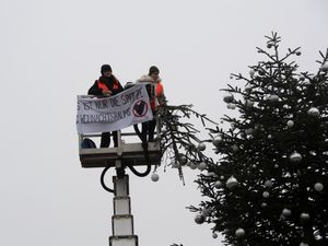 Supporting image for story: Climate activists decapitate prominent Berlin Christmas tree