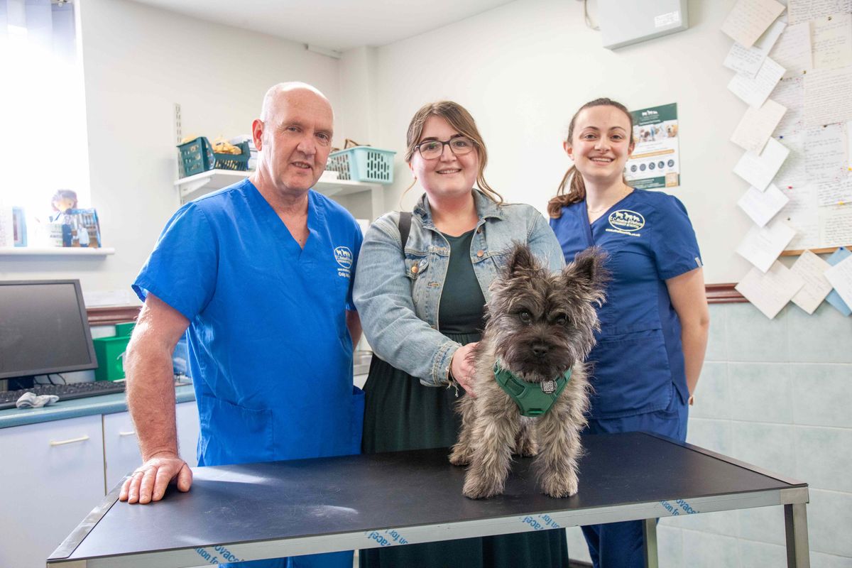 Watch the moment Rugeley puppy is saved after swallowing sock
