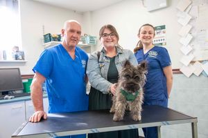 Pickle, who swallowed a sock, with (left to right) vet Craig McCreath from EC Straiton Vets, owner Rachel Bennett, and veterinary nurse Nicki Wilson.