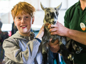 Supporting image for story: Families have a ball for Open Farm Sunday