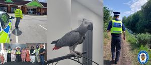 The discovery of Charlie the parrot was among the good work done by neighbourhood policing officers in Walsall. Photo: West Midlands Police