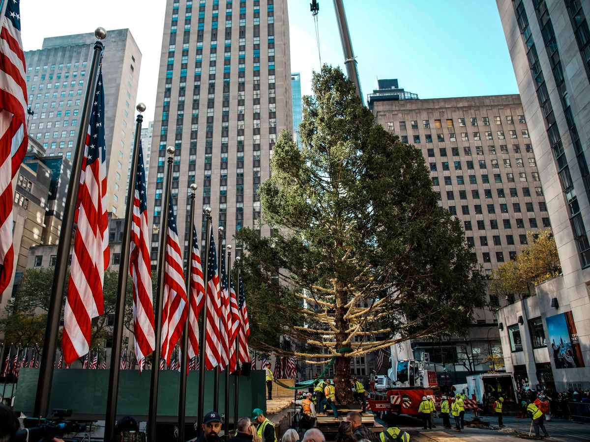 Rockefeller Centre Christmas tree’s arrival kicks off holiday season in New York