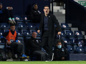 Supporting image for story: Brighton v West Brom: Slaven Bilic is eager to build on encouraging signs