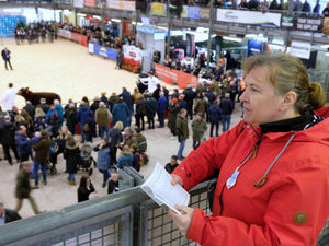 Supporting image for story: I was wowed by the wonder of the Royal Welsh Winter Fair - the agricultural event kicked off my 2025 Christmas with horses and hounds, hot cider and much more