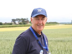 Supporting image for story: A year when crops were 'almost very good'
