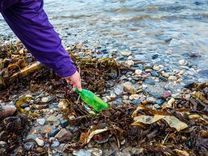 Supporting image for story: Luumi silicone kitchenware could help reduce plastic use