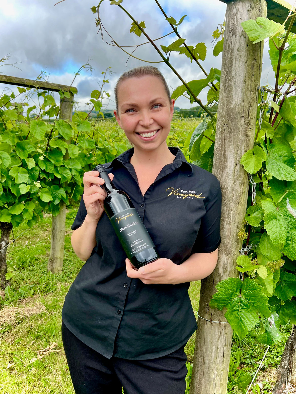 Shropshire border vineyard wins bronze at national wine awards