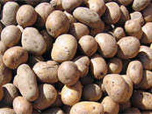 Supporting image for story: Food for thoughtlessness