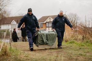 The two beavers on their way into their new home. Picture: Jamie Ricketts