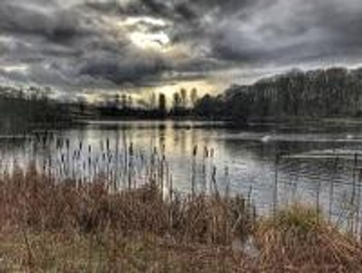 Powys council pledges to tackle algae risks following last year&rsquo;s catastrophe at Llandrindod Wells lake