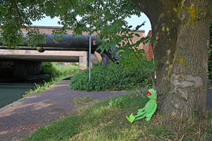 A Kermit the Frog toy had been left on a tree at the scene