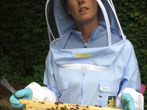 Supporting image for story: Bees need your help more than ever - will you help aid their survival?