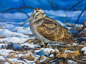 The Art of Camouflage