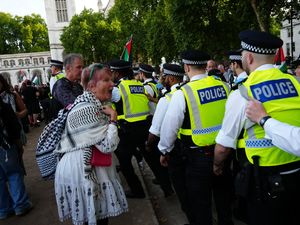 Supporting image for story: Palestine Action protest ‘peaceful’, organiser says as police claim abuse