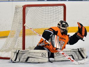 Supporting image for story: Netminder Denis Bell signs for Telford Tigers in 2018/19
