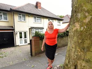 Supporting image for story: £320,000 taxpayer bill for house damage caused by trees