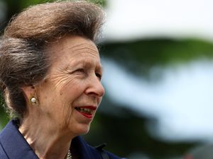 Supporting image for story: Anne’s concussion recovery continues after she was injured by horse