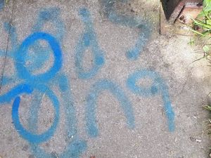 Supporting image for story: Vandals desecrate graves at cemetery in Newport