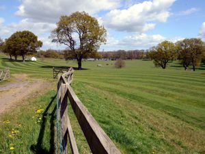 Supporting image for story: Chetwynd Deer Park to open to raise money for Ukraine appeal