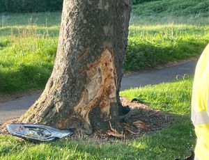 There was damage caused to the tree. Photo: Walsall Fire Station