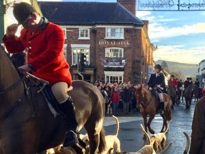 Supporting image for story: Protest at Welshpool hunt