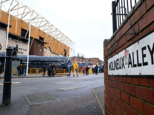 Supporting image for story: Wolves in talks to sign brother of first team star