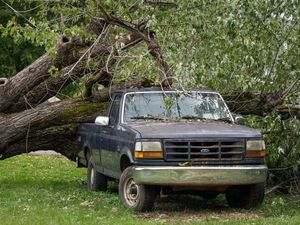 Supporting image for story: Death toll rises from Helene while supplies rushed to affected areas