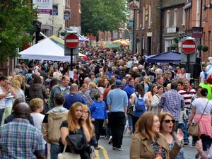 Supporting image for story: Bower festival postponed and collection buckets are stolen