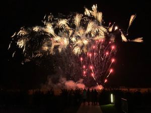 Supporting image for story: Firework display marks Lunar New Year at Shropshire college