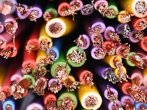 Supporting image for story: Recycling old cables could help provide copper needed for green tech – study