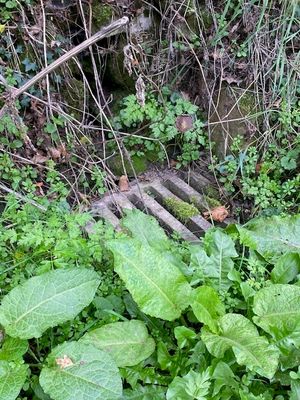 Blocked drains are needing attention. Picture: Chris Naylor