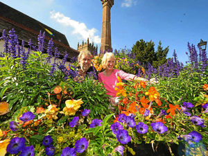 Supporting image for story: Shropshire villages blossom to take Bloom awards