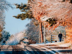 Supporting image for story: Capture beauty of Telford's nature reserves in photo competition