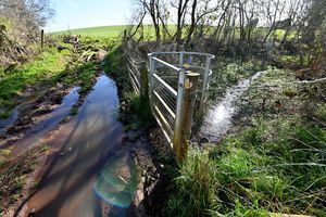Enville No 4 Footpath, part of the Staffordshire Way, waterlogged after heavy rain. Photo: Steve Leath