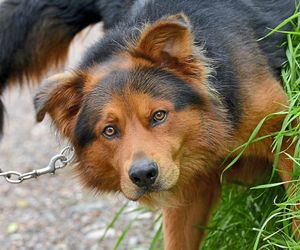 George is 'excitable'