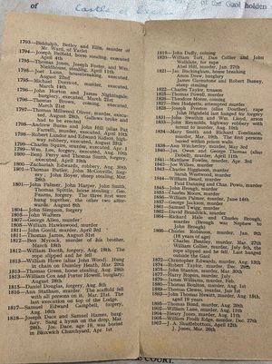 It provides a fascinating insight into the crimes and spectacle of capital punishment in the County Town for over a century 