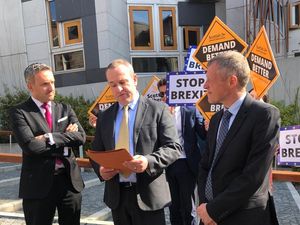 Supporting image for story: All Change for Euro candidate who quits candidacy to endorse Lib Dems