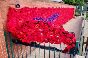 The finished poppy fall