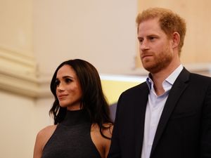 Supporting image for story: Sussexes donate supplies to people affected by Los Angeles fires